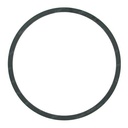 RETAINING RING 746729