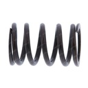 VALVE AND TRANSMISSION SPRING 747367