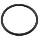 O-RING 795483