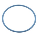 O-RING 795953