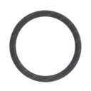 O-RING 795972