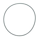 O-RING 797079