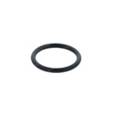 O-RING 798775