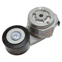 BELT TENSIONER 798950