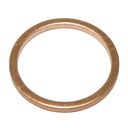SEALING RING 80305