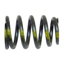 VALVE AND TRANSMISSION SPRING 941781
