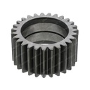 GEAR 942781