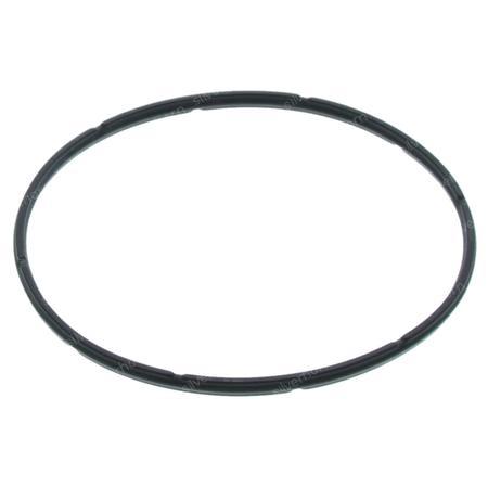 SPECIAL SEAL 958423 for MANITOU