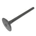 ENGINE VALVE 02/634028