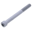 HEXAGON SOCKET HEAD CAP SCREW 1391/3521Z