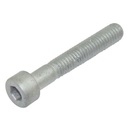 HEXAGON SOCKET HEAD CAP SCREW 1392/3108Z